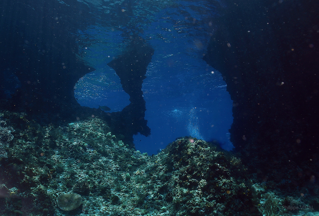Raja Ampat 2016 - Corail - Boo Windows - IMG_4319_rc.jpg